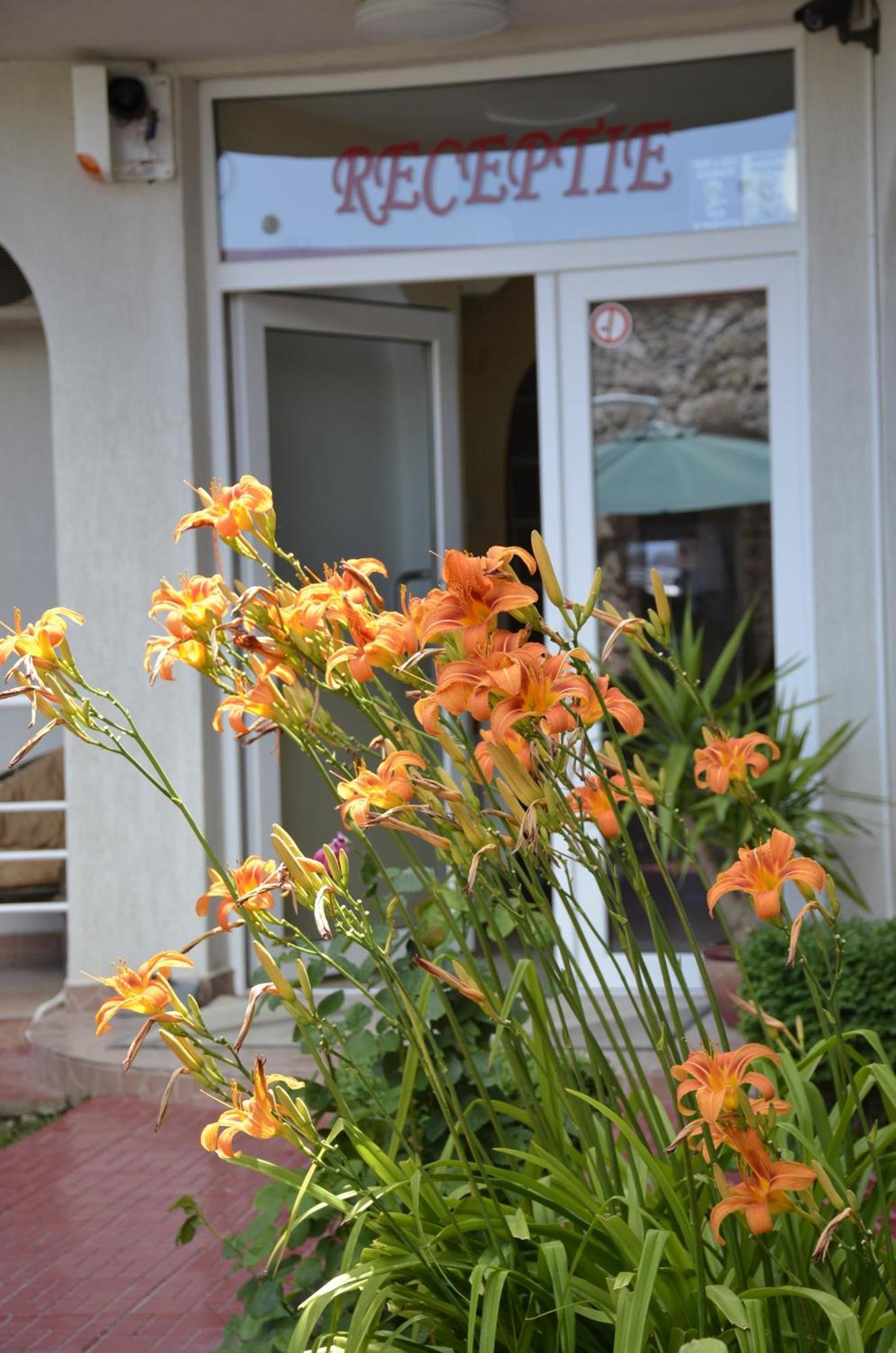 Vila Julia Costinesti Exterior foto