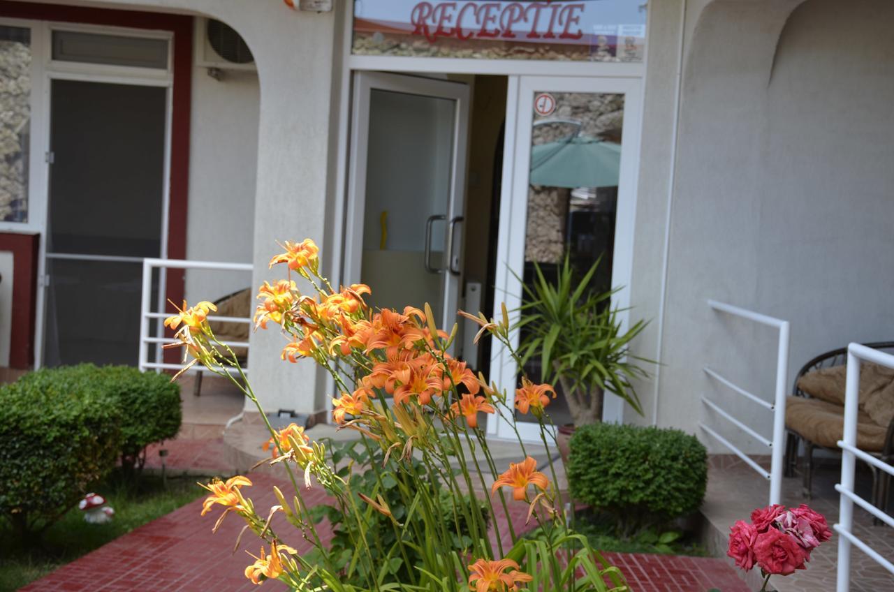 Vila Julia Costinesti Exterior foto